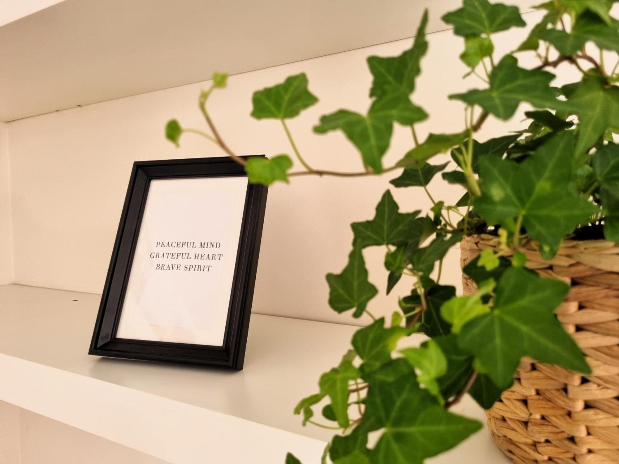 Relais Cassia Rome - Parking, Wi-Fi & Barbecue 빌라 외부 사진